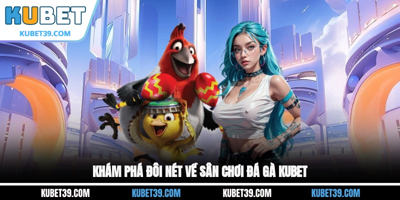 Khám phá đôi nét về sân chơi đá gà KUBET